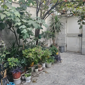 واحد 85 متری / 2 خواب / فول/  لویزان