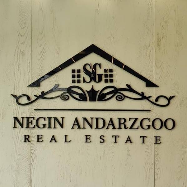 نگین اندرزگو